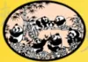 Carolina Chinese Academy logo