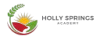 Holly Springs Academy logo