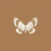 Transforming Births Doula Services logo
