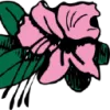 Azalea Skin Treatment Center logo