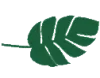 KM Pediatric Therapy, Inc logo