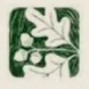 White Oak Pediatrics logo