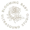 Blooming Baby 4D Ultrasound Studio and Boutique logo