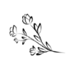 Christy Johnson Photography logo