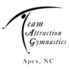 Team Attraction Gymnastics logo