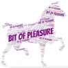 Bit of Pleasure Horse School logo