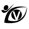 Vision Martial Arts logo