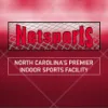 Netsports logo