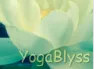 YogaBlyss logo