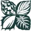 Juniper Level Botanic Garden logo