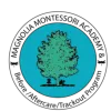 Magnolia Montessori Academy logo
