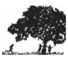Afton Nature School logo