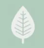 Willow Oak Preschool logo