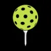 Pin Point logo