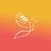 Skylark Music School logo