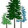 Pinewoods Montessori School logo