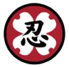 Quest Jiu-Jitsu and Self Defense logo