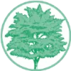 Cary Family Dental logo