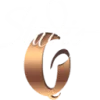 Studio G Aesthetic & Family Dentistry logo