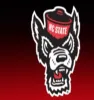 Wolfpack Gymnastics Camps logo