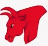 Durham Tennis Academy logo