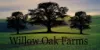 The Scoop at Willow Oak Farms logo