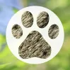 Animal Camp logo