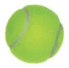 RDUTennis logo