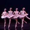 Triangle Academy of Dance logo