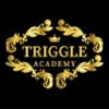 Triggle Academy of Irish Dance logo