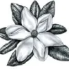 Piedmont Cotillion logo