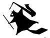 Flying Squirrel Music logo